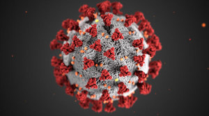 Wabash CUSD #348 Taking Precautions for Coronavirus